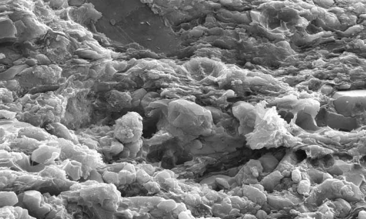 Core Data Professionals Core Data Professionals